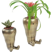 Evene Saksı Çiçek Kaktüs Saksısı Lüx 13,5 cm Havuç Desenli 2'li Set Çiçeklik