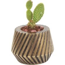 Evene Saksı Çiçek Kaktüs Saksısı Lüx 13 cm Mekanik Dişli Desen Saksı Çiçeklik