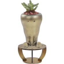 Evene Ahşap Ayaklı Beton Saksı Dekoratif 1 Adet Havuç Model