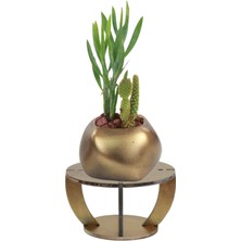 Evene Ahşap Ayaklı Beton Saksı Dekoratif 1 Adet Spiral Oval Model