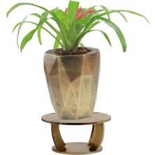 Evene Ahşap Ayaklı Beton Saksı Büyük Boy 1 Adet Uzun Poly Model