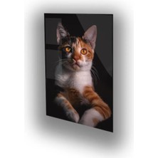 Woody City Kedi Temalı Renkli Cam Tablo