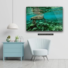 Woody City Caretta Caretta Cam Tablo