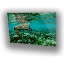 Woody City Caretta Caretta Cam Tablo
