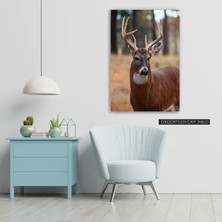 Woody City Geyik Renkli Cam Tablo