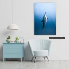 Woody City Yunus Balığı Cam Tablo