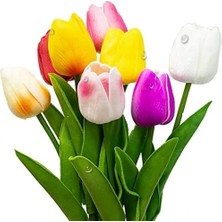 Day 50'li 10 Farklı Mix Tulip Seed Lale Tohumu + 10'lu Kırmızı Gül Çiçek Tohumu