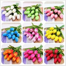 Day 50'li 10 Farklı Mix Tulip Seed Lale Tohumu + 10'lu Hollanda Gülü Çiçek Tohumu