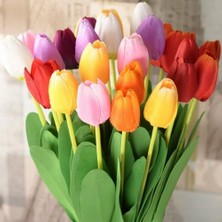 Day 50'li 10 Farklı Mix Tulip Seed Lale Tohumu + 10'lu Kırmızı Papatya Çiçek Tohumu