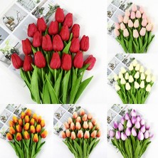 Day 100'lü 10 Farklı Mix Tulip Seed Lale Tohumu + 10'lu Kırmızı Küpe Çiçek Tohumu