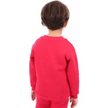 Toontoy Kids Toontoy Unisex Çocuk Baskılı Sweatshirt