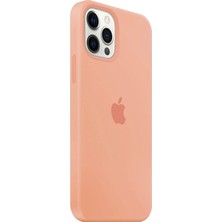 Glitz Apple iPhone 11 Pro Kılıf Logolu Silikon Kılıf A+ Kalite (Altı Kapalı)