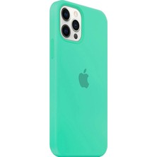 Glitz Apple iPhone 11 Pro Max Kılıf Logolu Silikon Kılıf A+ Kalite (Altı Kapalı)