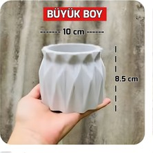 E.M.S Büzgülü Saksı Kaktüs Saksısı Sukulent Saksısı Menekşe Saksısı Büyük Boy Siyah 8.5 x 10 cm Pastel Sarı