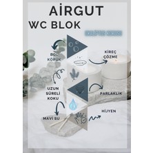 AirGut 2'li Paket WC Blok, Tuvalet Koku Giderici 8 Adet Okaliptus Kokusu Bloğu (Mavi su verir)