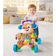 Fisher-Price Fisher Price Eğitici Köpekçik Yürüteç FTG10