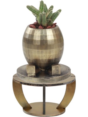 Evene Ahşap Ayaklı Beton Saksı Dekoratif 1 Adet Ayaklı Yuvarlak Model