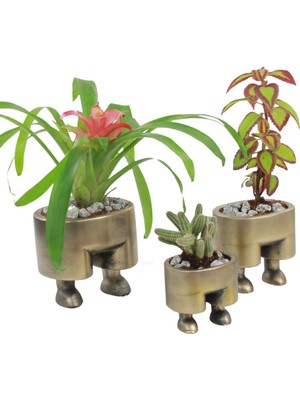 Evene Saksı Çiçek Kaktüs Saksısı Lüx 13 cm Pantolon Desenli 3'lü Set Çiçeklik