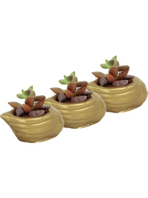Evene Mini Çiçek Saksı Küçük Sukulent Kaktüs Saksısı 3'lü Set Mini Deniz Salyangozu