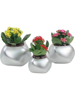Evene Saksı Çiçek Kaktüs Saksısı Lüx 14 cm Elips Desenli 3'lü Set Çiçeklik