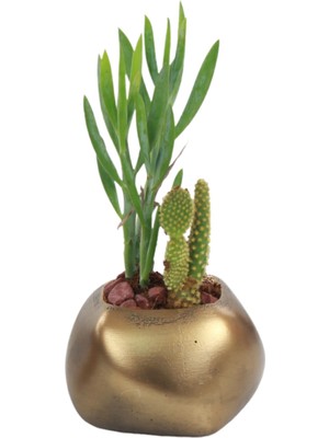 Evene Saksı Çiçek Kaktüs Saksısı Lüx 9 cm Elips Desen Saksı Çiçeklik