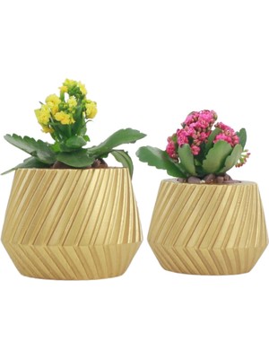 Evene Saksı Çiçek Kaktüs Saksısı Lüx 15 cm Mekanik Dişli Desen Saksı 2li Çiçeklik