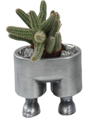 Evene Saksı Çiçek Kaktüs Saksısı Lüx 8,5 cm Pantolon Desen Saksı Çiçeklik