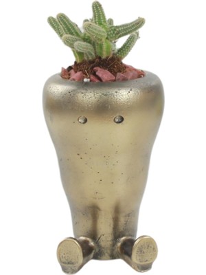 Evene Saksı Çiçek Kaktüs Saksısı Lüx 12 cm Havuç Desen Saksı Çiçeklik