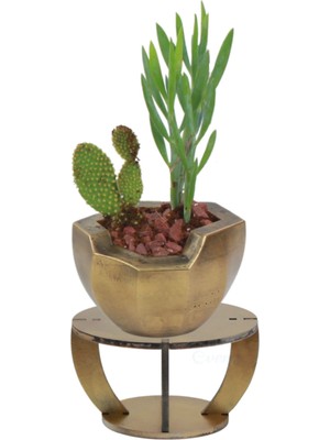 Evene Ahşap Ayaklı Beton Saksı Dekoratif 1 Adet Önü Açık Model