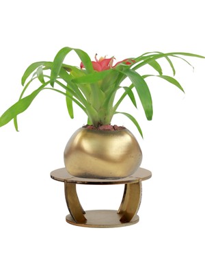 Evene Ahşap Ayaklı Beton Saksı Büyük Boy 1 Adet Spiral Oval Model