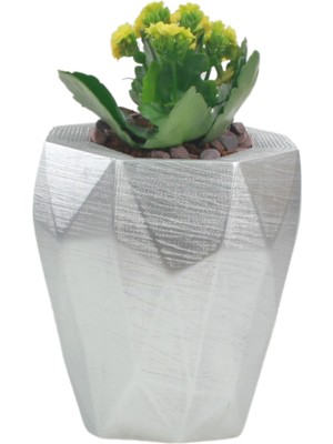 Evene Saksı Çiçek Kaktüs Saksısı Lüx 15 cm Poly Desen Saksı Çiçeklik