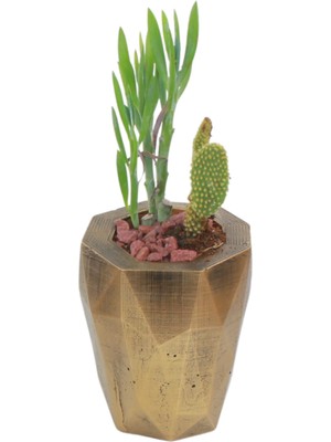 Evene Saksı Çiçek Kaktüs Saksısı Lüx 10 cm Altın Eskitme Varak Boyalı Poly Desen Saksı Çiçeklik
