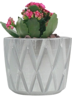 Evene Saksı Çiçek Kaktüs Saksısı Lüx 11 cm Baklava Desen Saksı Çiçeklik