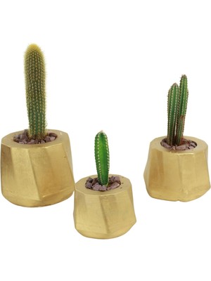 Evene Saksı Çiçek Kaktüs Saksısı Lüx 15 cm Kalın Çizgi Desenli 3'lü Set Çiçeklik