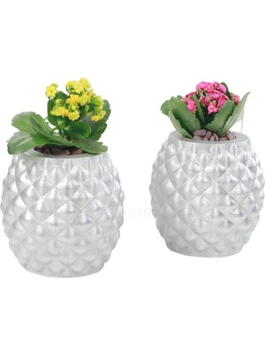 Evene Saksı Çiçek Kaktüs Saksısı Lüx 15 cm Ananas Desenli 2'li Set Çiçeklik