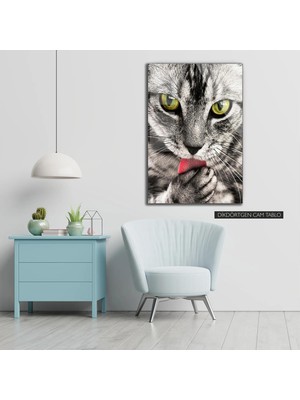 Woody City Kedi Dekoratif Cam Tablo