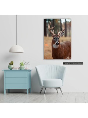 Woody City Geyik Renkli Cam Tablo