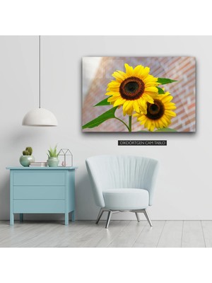 Woody City Ayçiçeği Modern Cam Tablo