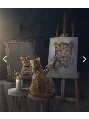 Pix Art Sanat Yetenekli Kedi  PixArt Sanat Elmas Mozik Tablo Daimond Türkiye 58*68