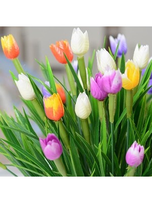 Day 25'li 10 Farklı Renk Mix Tulip Seed Lale Tohumu + 10'lu Kırmızı Gül Çiçek Tohumu