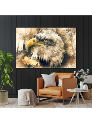 SML Tablo Grunge Efektli Kartal Eagle Hayvan Kanvas Tablo