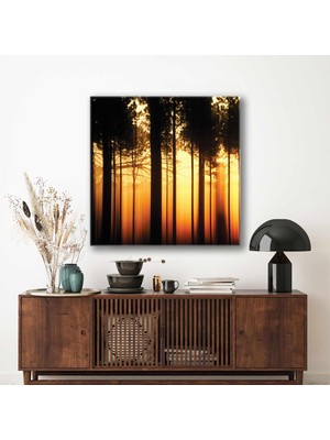 SML Tablo Akşamüstü Gün Batımı Orman Manzarası Golden Hour Doğa Kanvas Tablo
