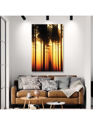 SML Tablo Akşamüstü Gün Batımı Orman Manzarası Golden Hour Doğa Kanvas Tablo