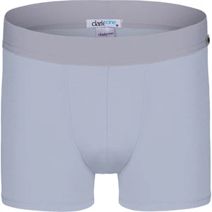 Gri Erkek Boxer DZNBM2003