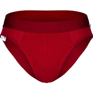 Bordo Erkek Slip DZNBM6307