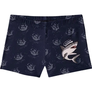 Ares Trunk Short Mayo - Lacivert