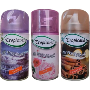 Air Freshener Oda Kokusu Garden Rose Cinnamon Bahçe Kokuları Parfüm Spreyi 260 ml x 3 Adet