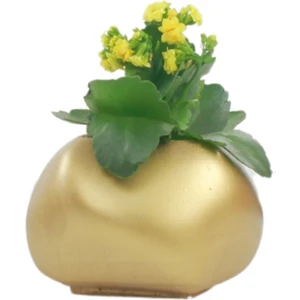 Saksı Çiçek Kaktüs Saksısı Lüx 14 cm Elips Desen Saksı Çiçeklik