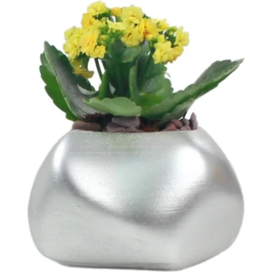 Saksı Çiçek Kaktüs Saksısı Lüx 14 cm Elips Desen Saksı Çiçeklik