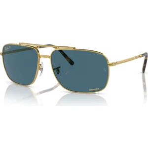 RB3796 9196S2 Polarize Evolve Erkek Güneş Gözlüğü